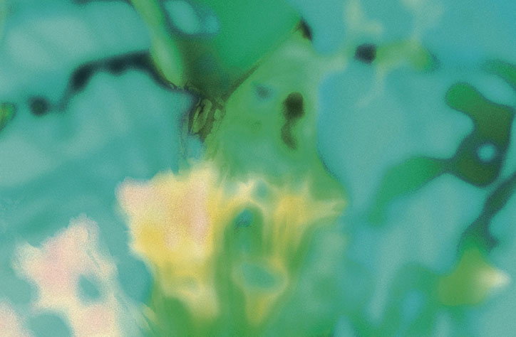 jonny-nash-bacterial-film-itsnicethat-06.jpg