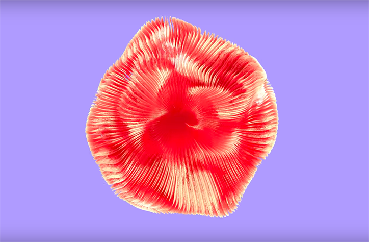 paddy-o-hara-burnt-amber-film-itsnicethat-01.png