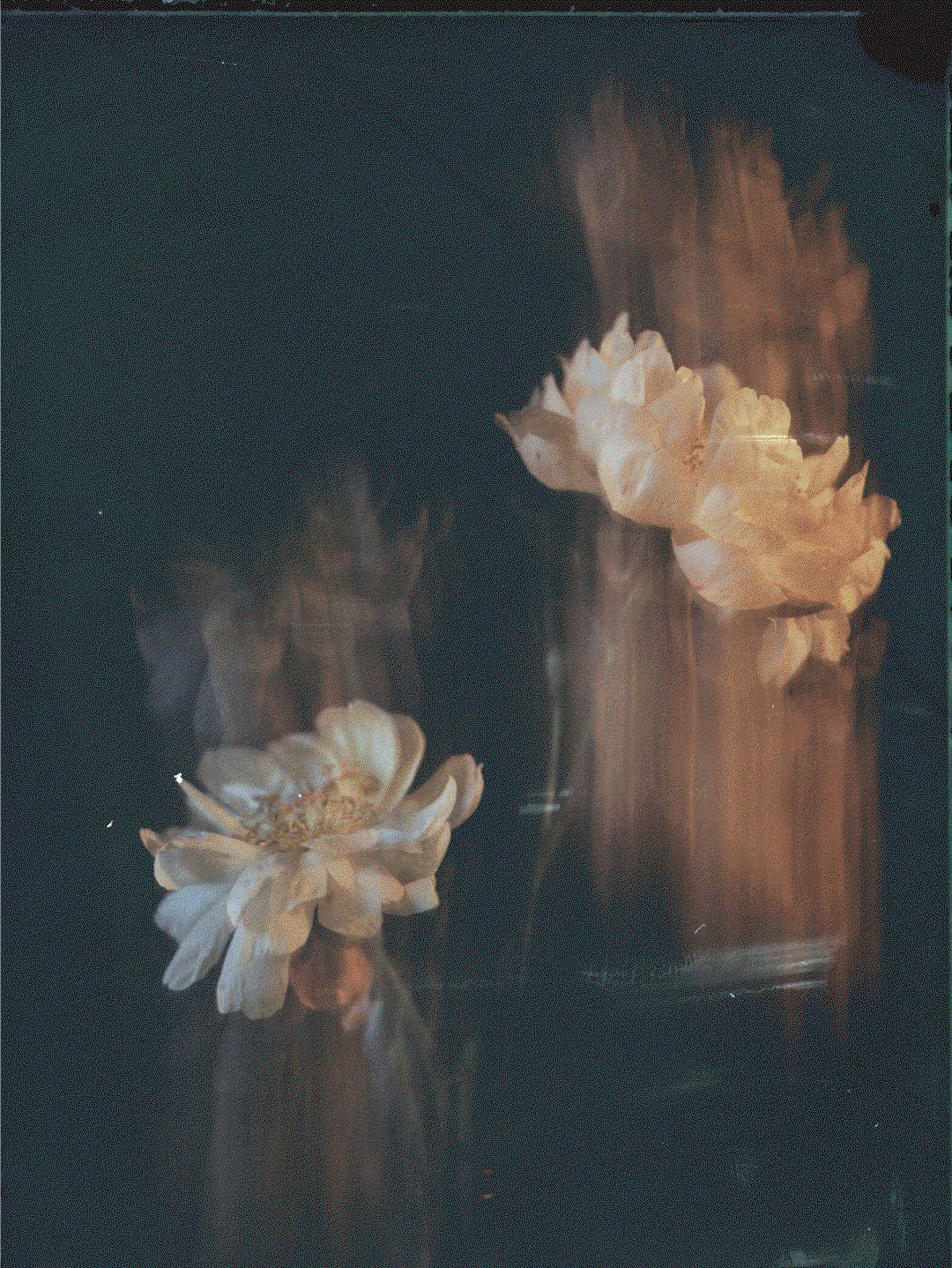 2.gif
