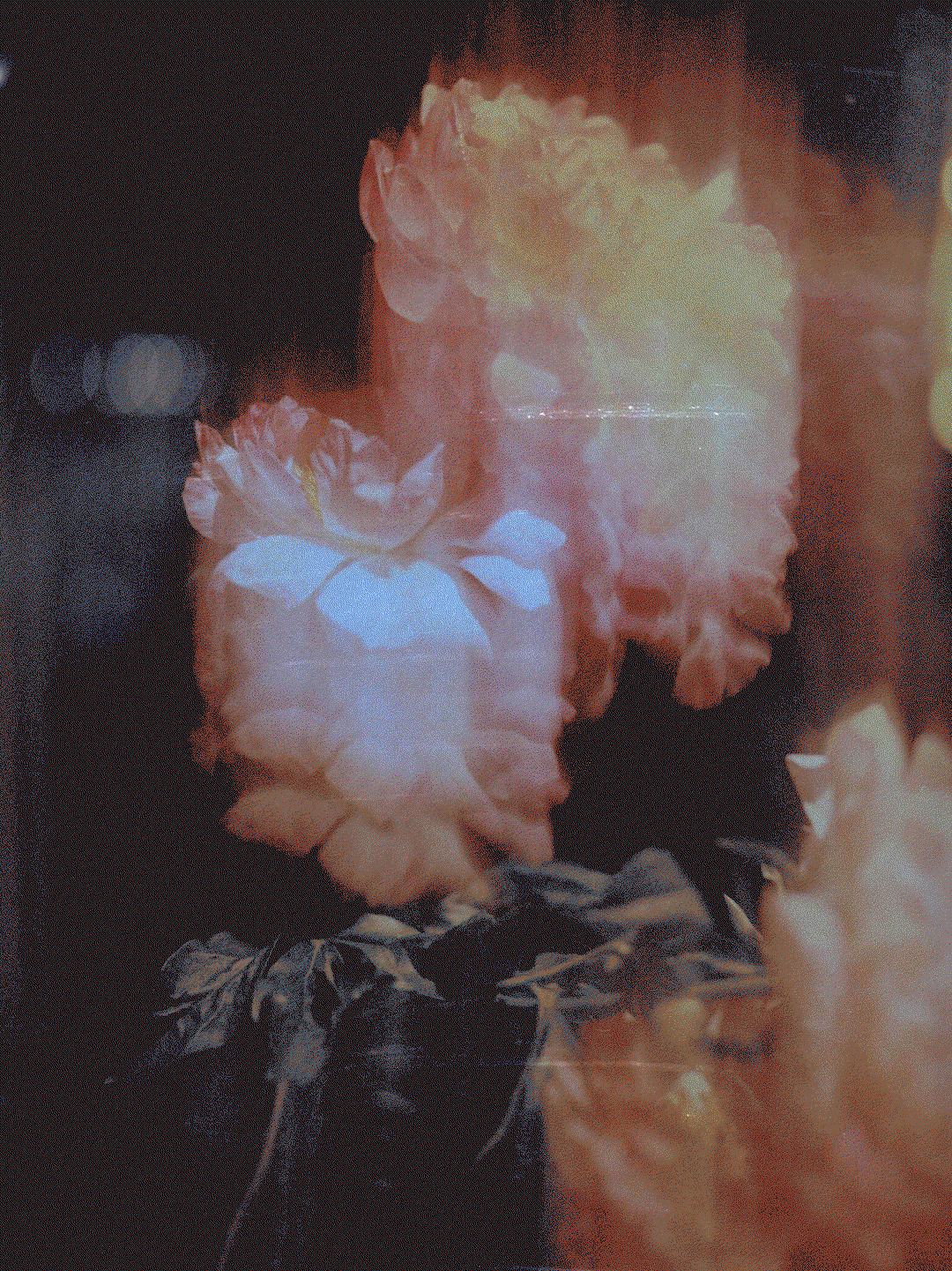 3.gif
