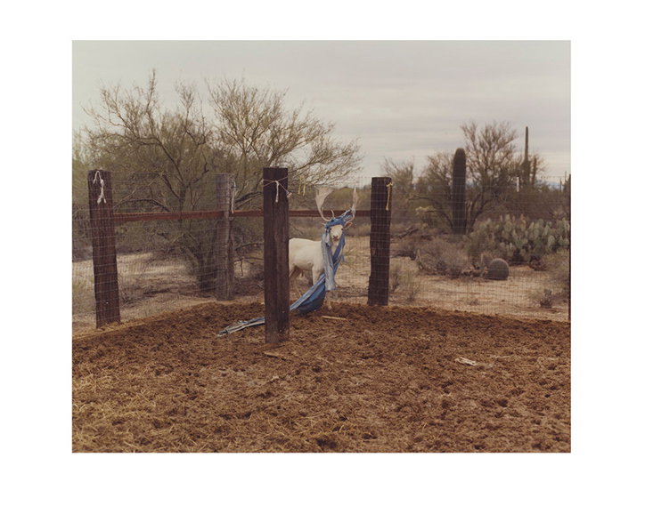 alex-lockett-photography-itsnicethat-4.jpg