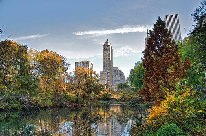 central-park-female-statue-art-itsnicethat-2.jpg