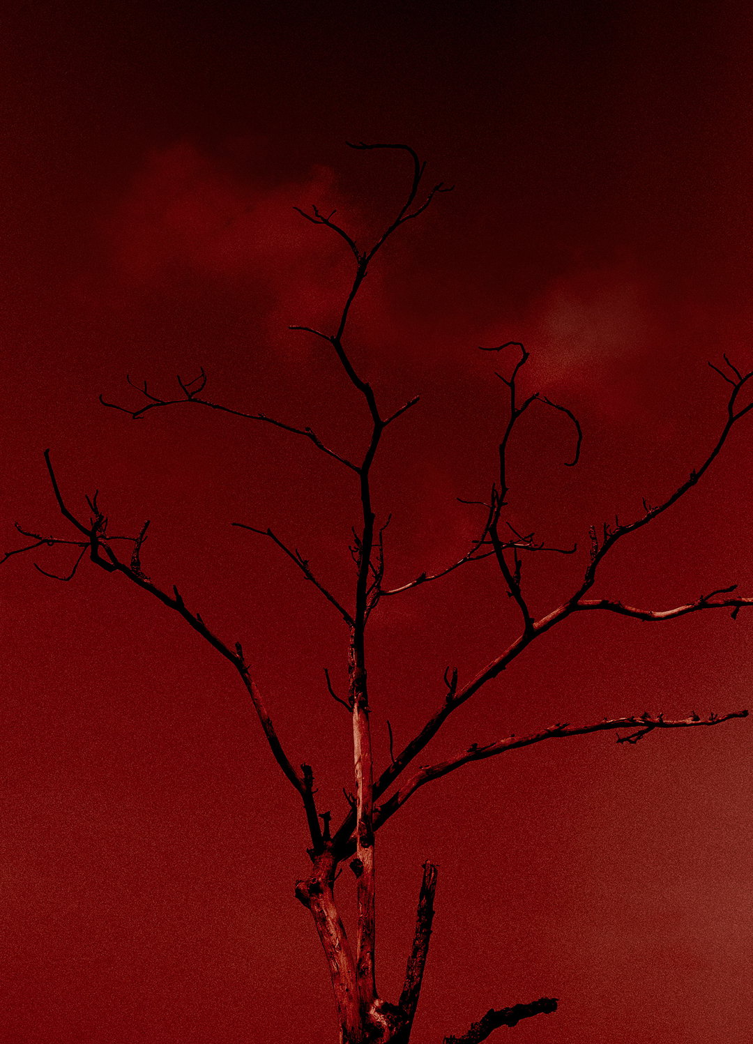richard-kovacs-photography-itsnicethat-12.jpg