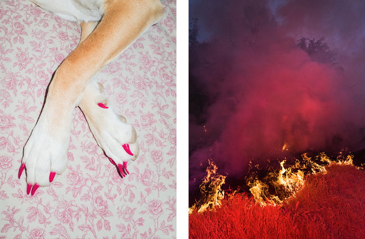 Benoit Paillé creatively reimagines the world with his hallucinogenic photography