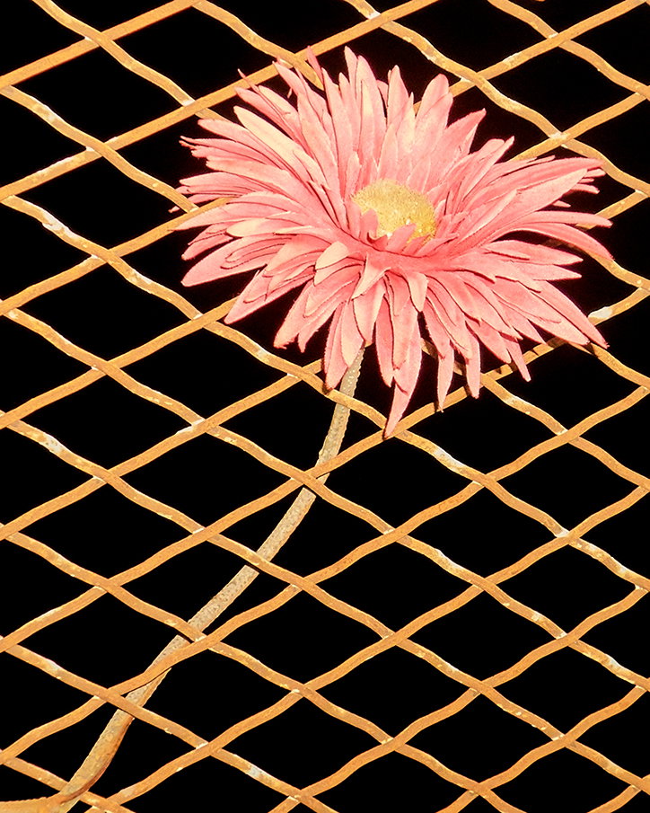 adam-whyte-photography-it'snicethat-6.jpg