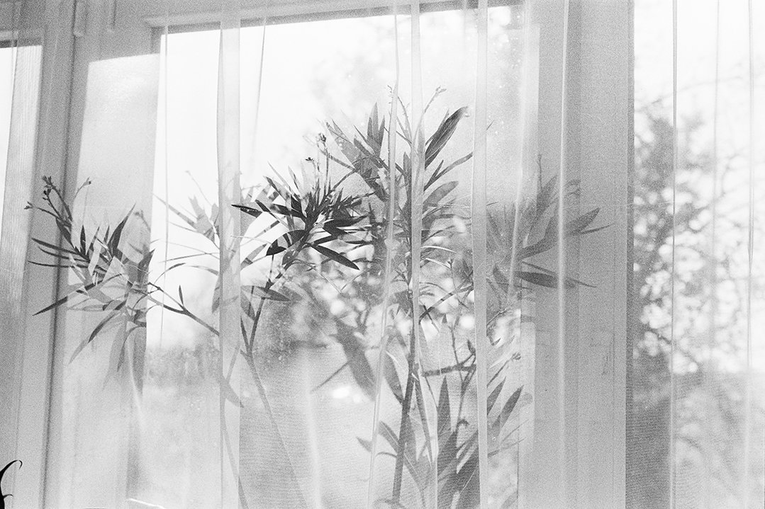 NataliaPoniatowska-MomentsINeverShowedYou-Photography-itsnicethat-TheGraduates-itsnicethat-12.jpg