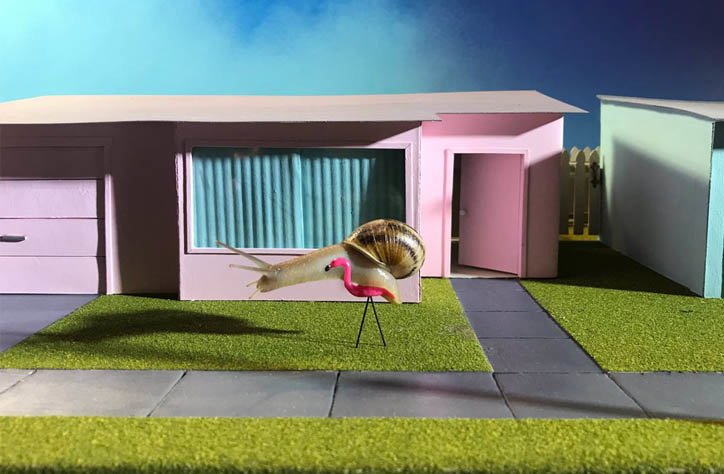 Aleia Murawski and Sam Copeland create miniature worlds where snails are the actors