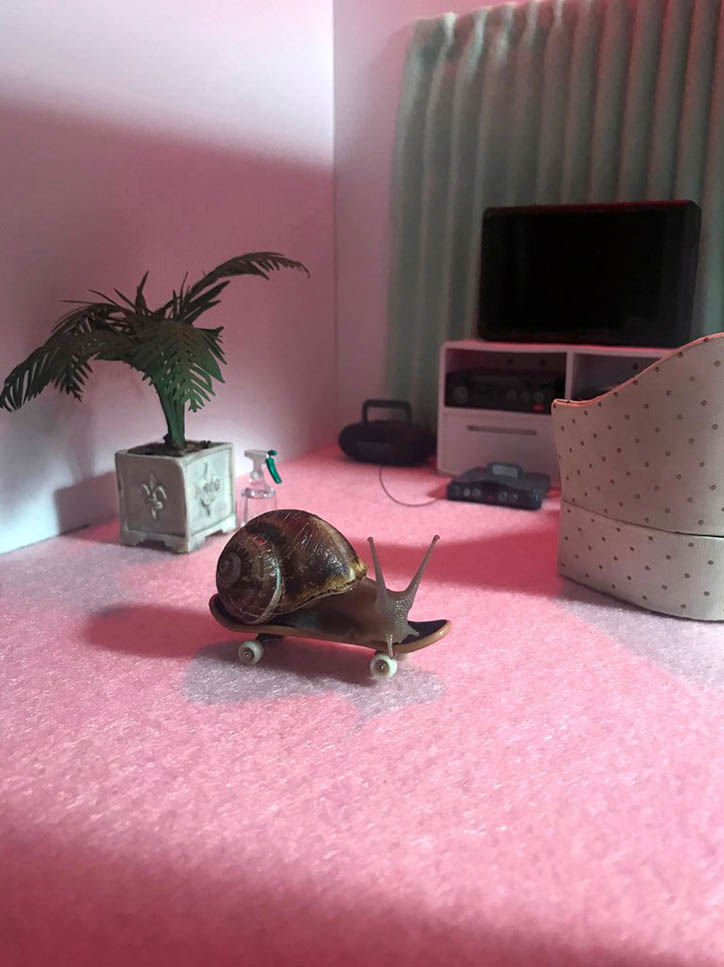 Aleia-Murawski-Sam-Copeland-Snails-Photography-It'sNiceThat-5.jpg