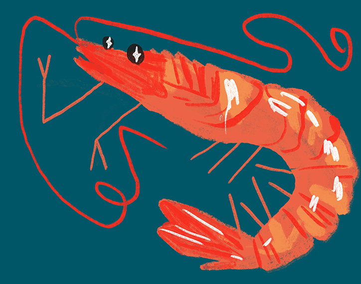 Ailsa-Johnson-Illustration-It'sNiceThat-11.jpg