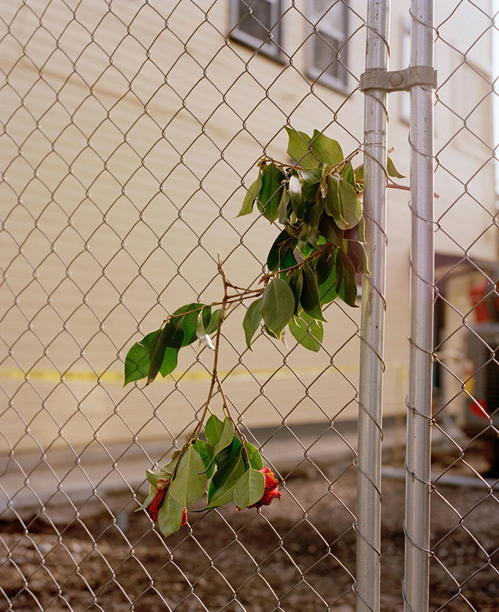 ricardo-nagaoka-eden-within-eden-photography-itsnicethat-03.jpg