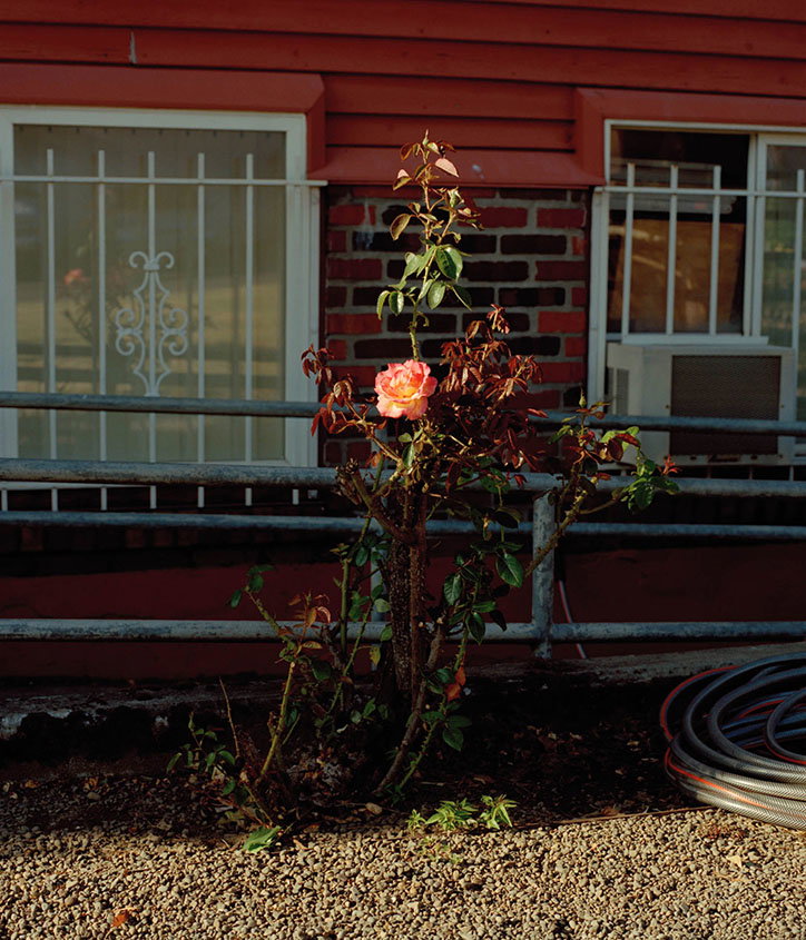 ricardo-nagaoka-eden-within-eden-photography-itsnicethat-05.jpg