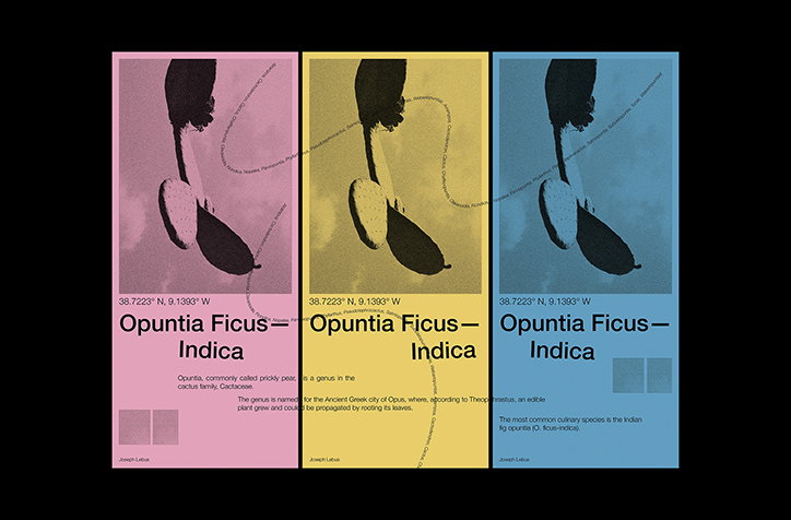 JosephLebus-GraphicDesign-itsnicethat-04.jpg