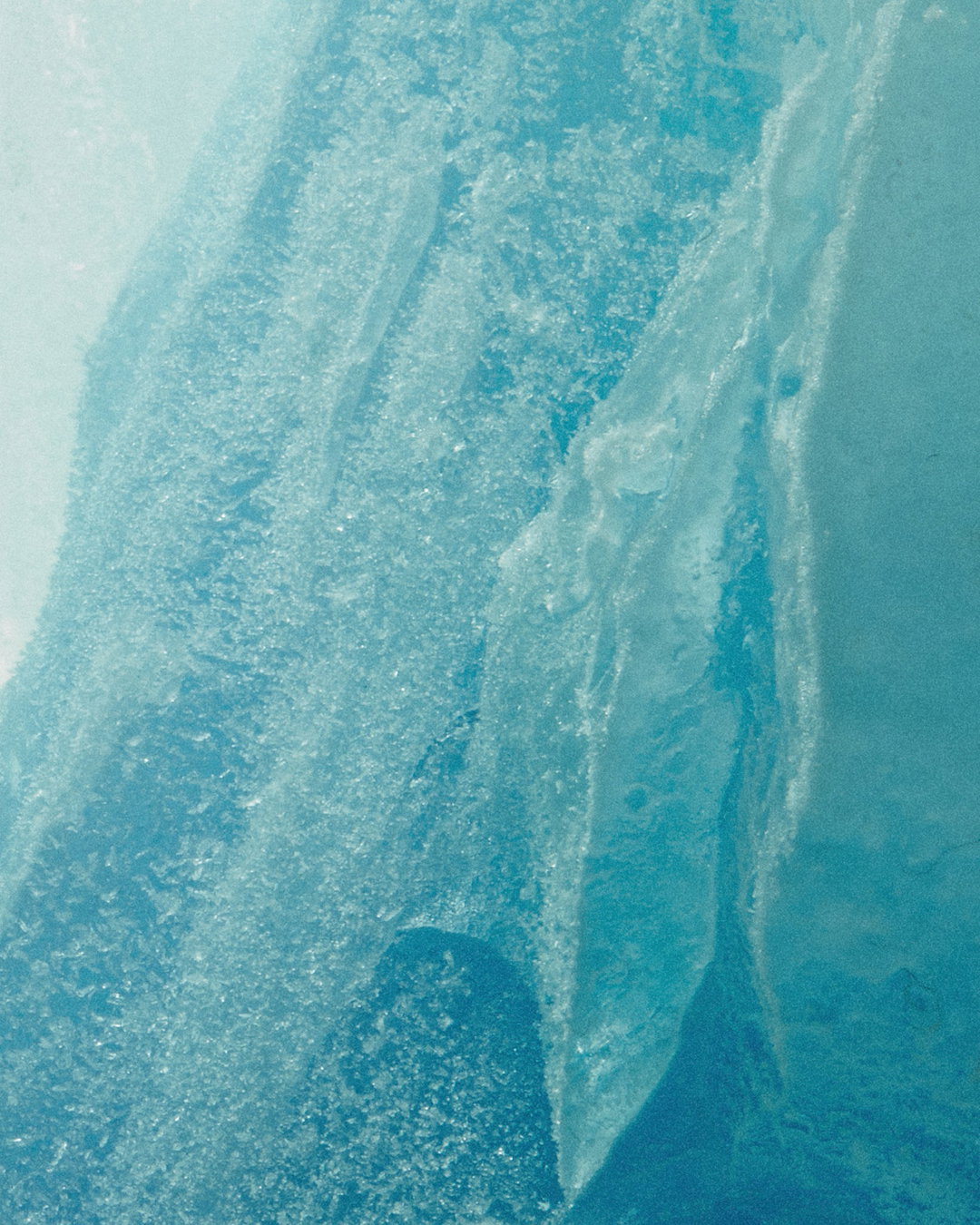 SECOND_NATURE_DETAIL_1.jpg