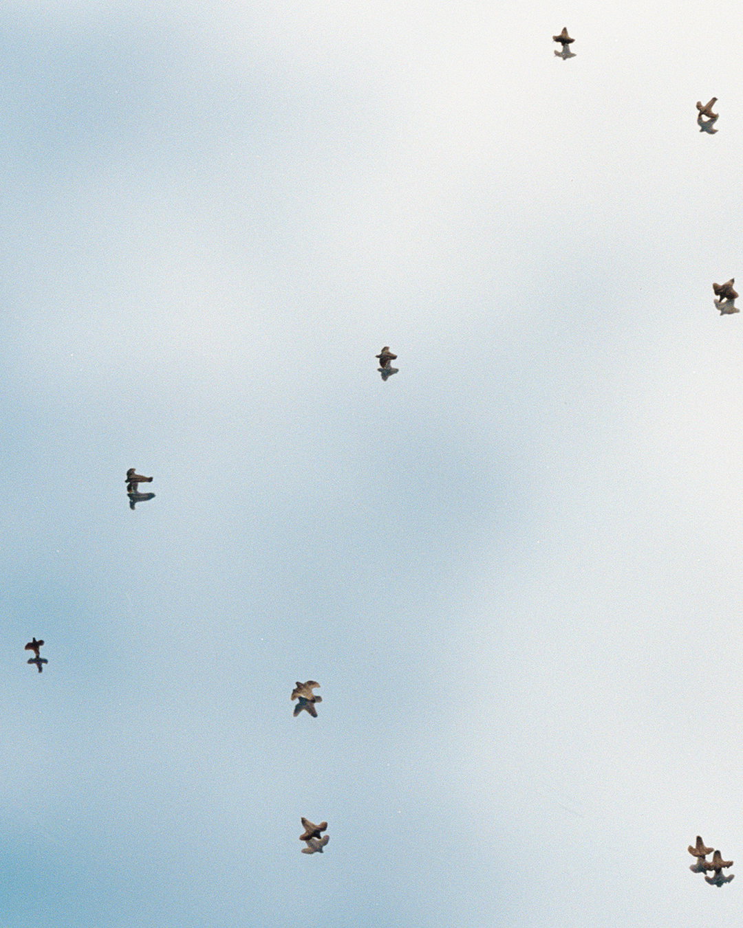 SECOND_NATURE_DETAIL_10.jpg
