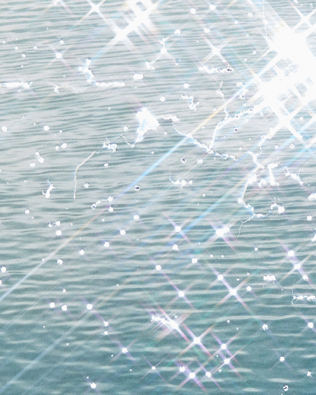 SECOND_NATURE_DETAIL_4.jpg