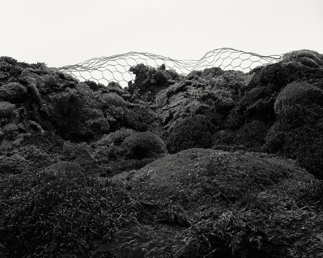 LukeEvans-Hill-SecondNature-itsnicethat-0.jpg