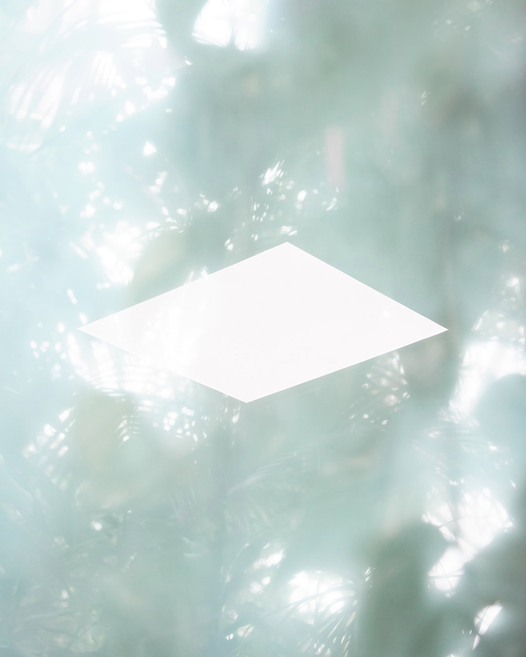 LukeEvans-Canopy-SecondNature-itsnicethat.jpg