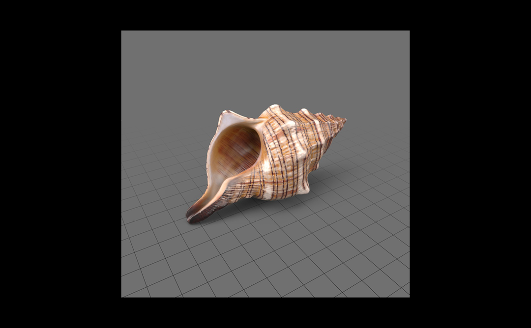 its-nice-that-eva-papamargariti-adobe-stock-3d-library-models8.png