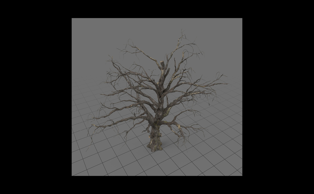 its-nice-that-eva-papamargariti-adobe-stock-3d-library-models12.png