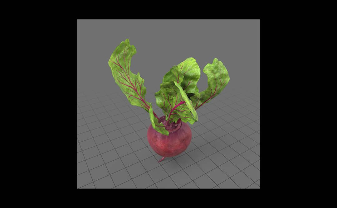its-nice-that-eva-papamargariti-adobe-stock-3d-library-models14.png