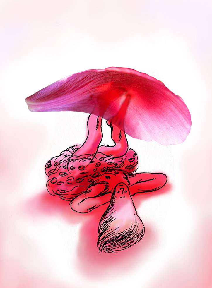 disa-wallander-spare-me-illustration-itsnicethat-09.jpg