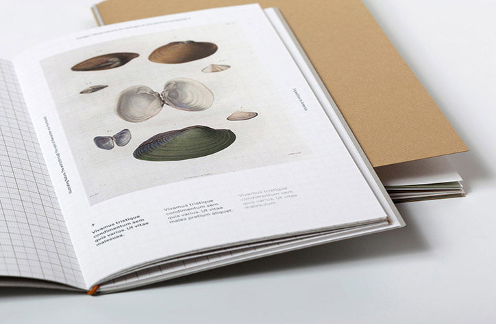 kronecker-wallis-illustrating-nature-publication-itsnicethat-06.jpg