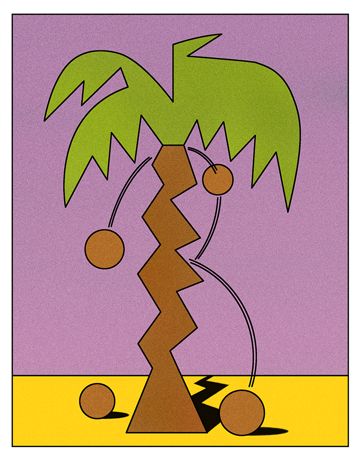 SebAgresti_Palmtree.png