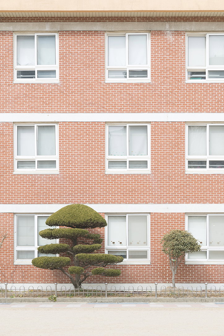 andres-gallardo-korean-schooling-itsnicethat-09.jpg