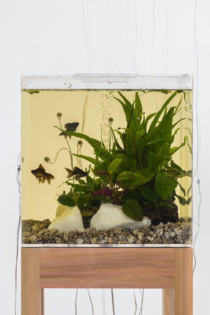 yuko-mohri-improvised-ecosystems-work-art-itsnicethat-01.jpg