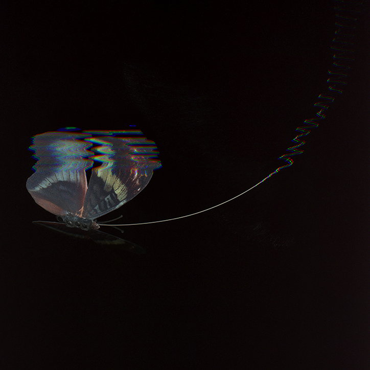 yuko-mohri-improvised-ecosystems-work-art-itsnicethat-04.jpg