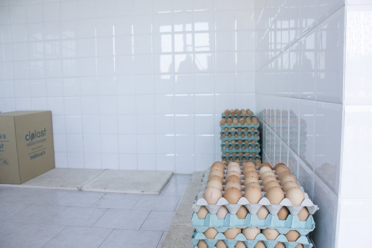 nom-exhibition-itsnicethat1.jpg