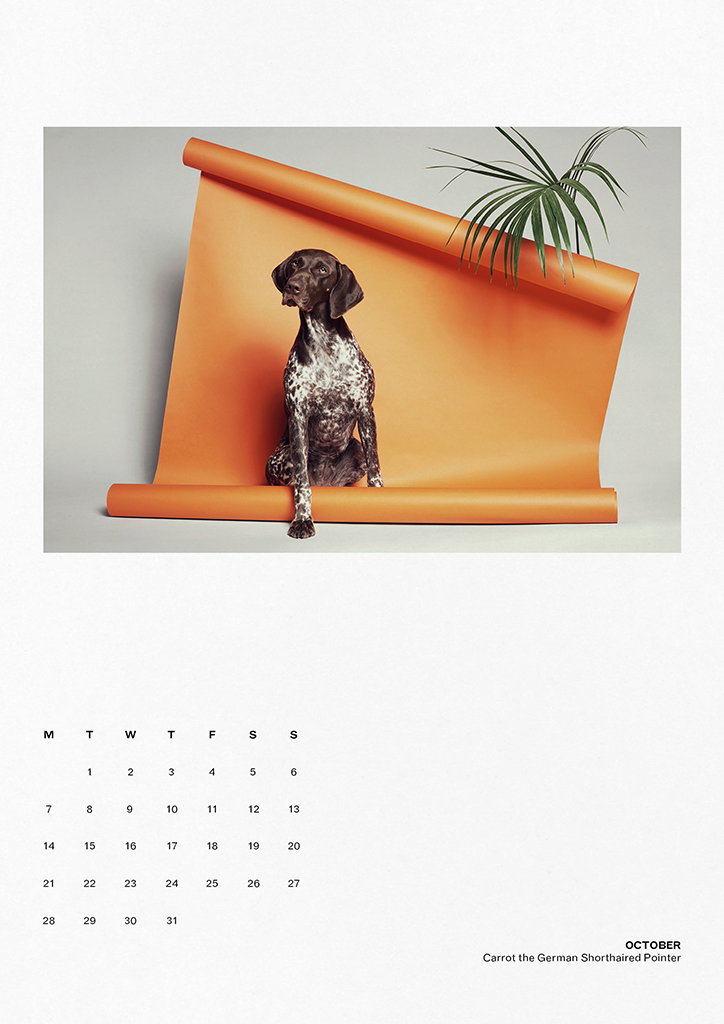 TheGourmand-DogEatDogCalendar-04-INT.jpg