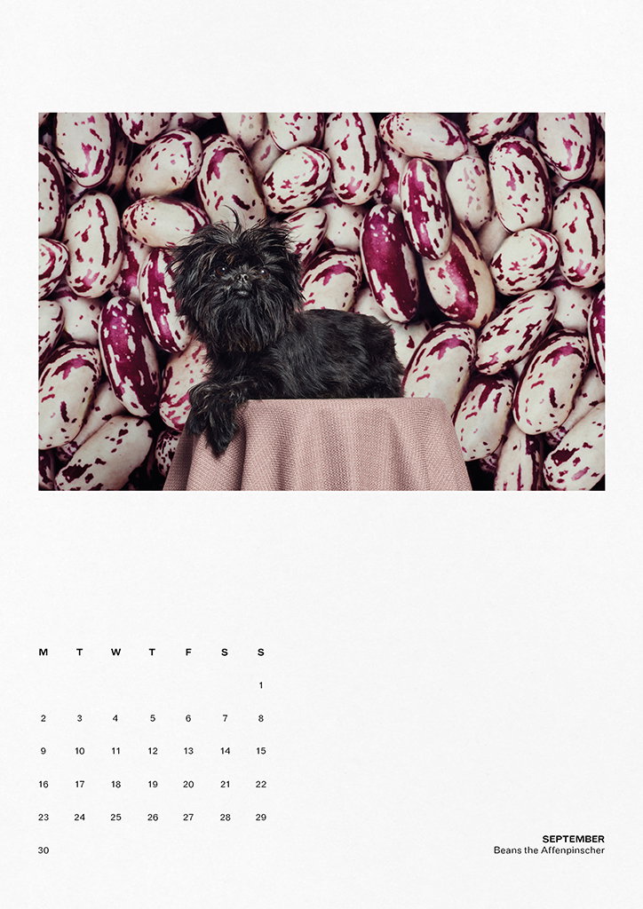 TheGourmand-DogEatDogCalendar-05-INT.jpg