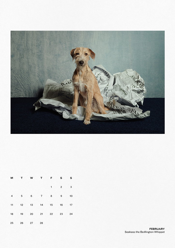 TheGourmand-DogEatDogCalendar-13-INT.jpg