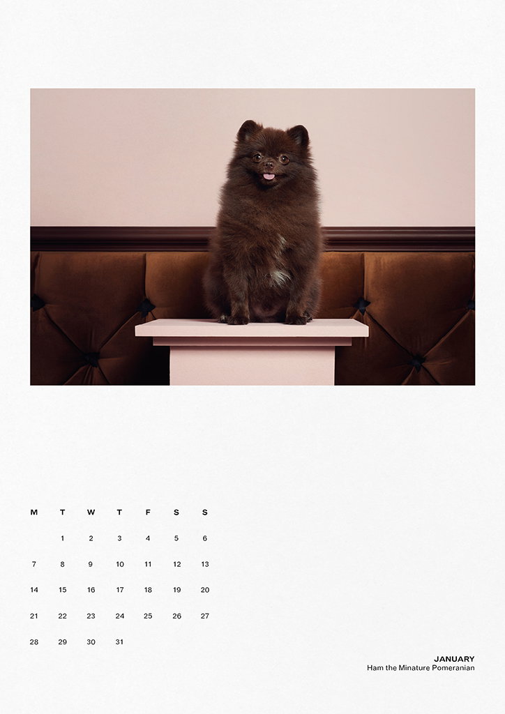 TheGourmand-DogEatDogCalendar-14-INT.jpg