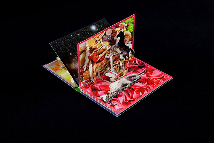 LauraKuusk-PopUpBook-Publication-itsnicethat-08.jpg