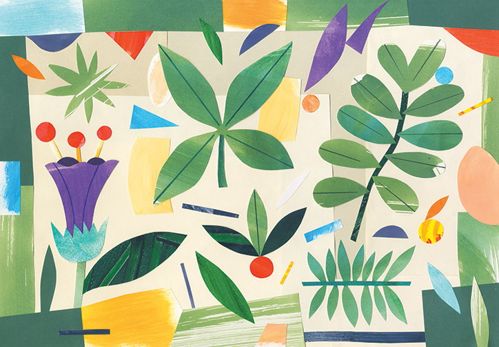 9_Room_Fifty_Print_-_Nature-INT.jpg