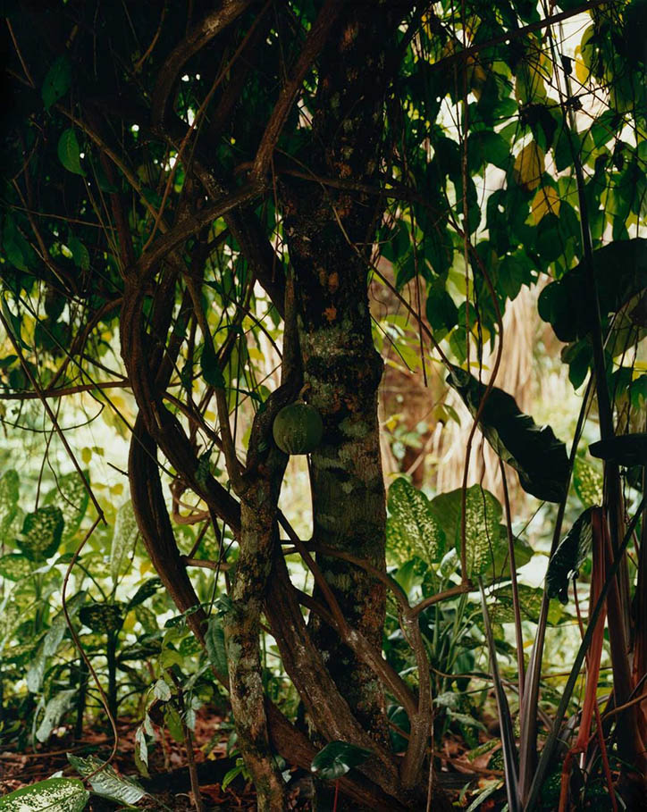 christo-geoghegan-banished-itsnicethat-03.jpg
