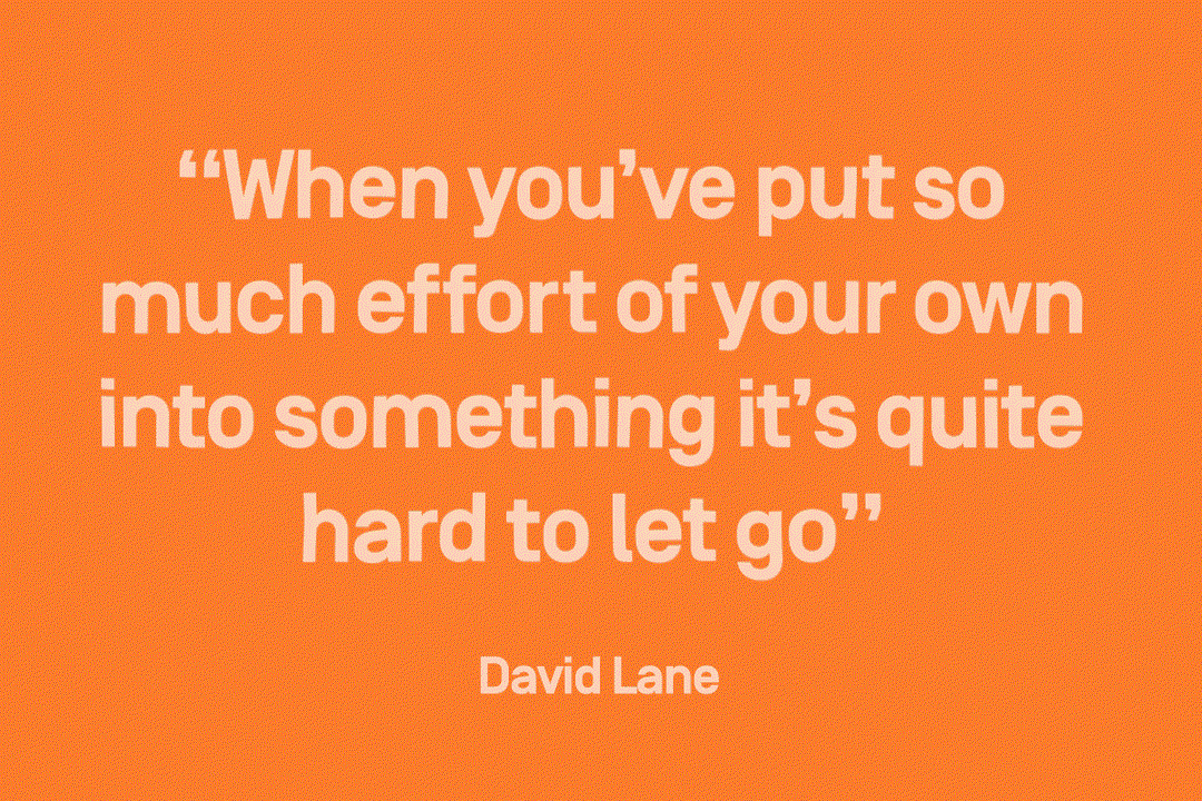 DavidLaneQuote.gif