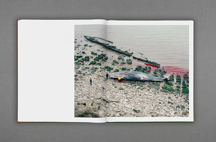 RobinFriend-BastardCountryside-publication-itsnicethat-12.jpg