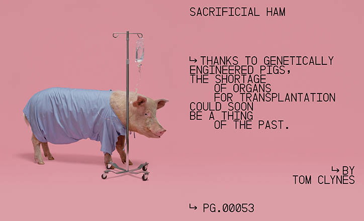 NewYorkTimesMagazine-Design_Techissue-Publication-itsnicethat-03.jpg