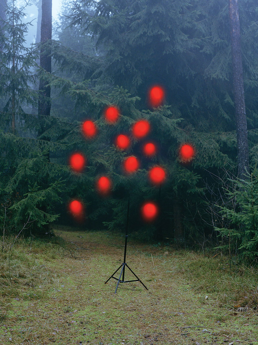wild-wild-child-gossamer-issue-two-publication-itsnicethat-2.jpg