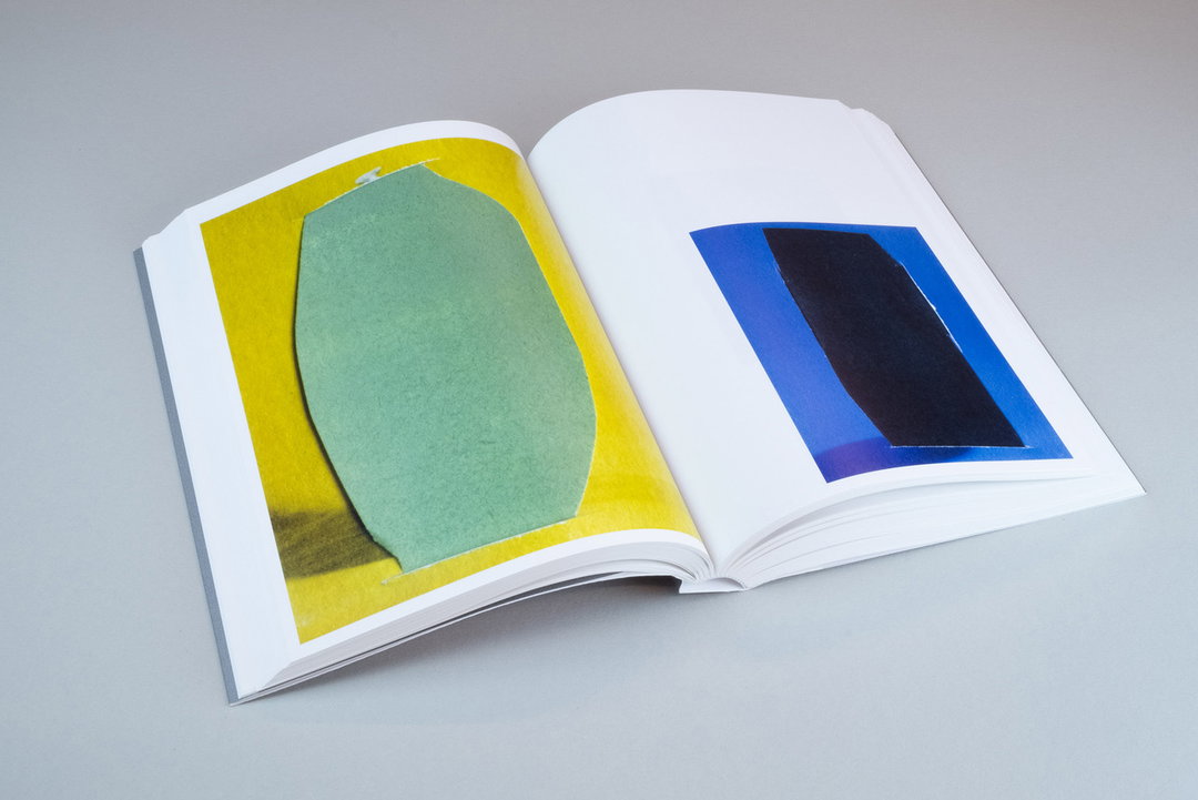 RuthVanBeek-Howtodotheflowers-Publication-itsnicethat-01.jpg