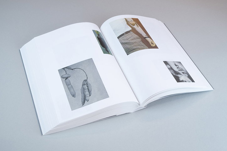 RuthVanBeek-Howtodotheflowers-Publication-itsnicethat-05.jpg