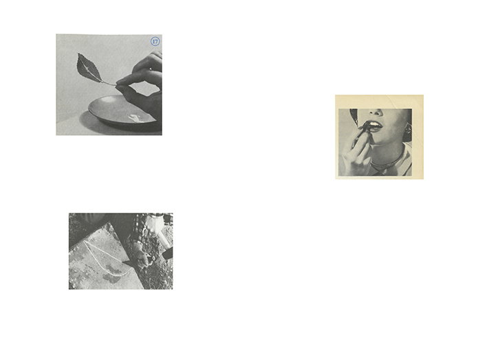 RuthVanBeek-Howtodotheflowers-Publication-itsnicethat-13.jpg