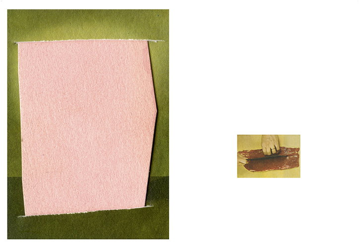 RuthVanBeek-Howtodotheflowers-Publication-itsnicethat-14.jpg