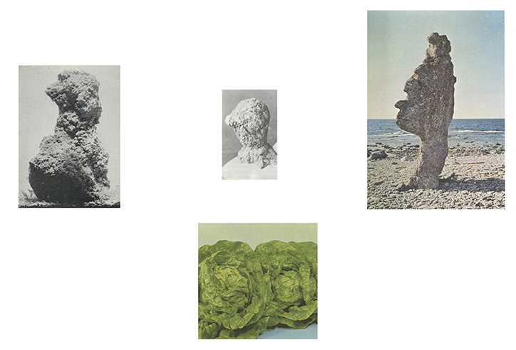 RuthVanBeek-Howtodotheflowers-Publication-itsnicethat-17.jpg