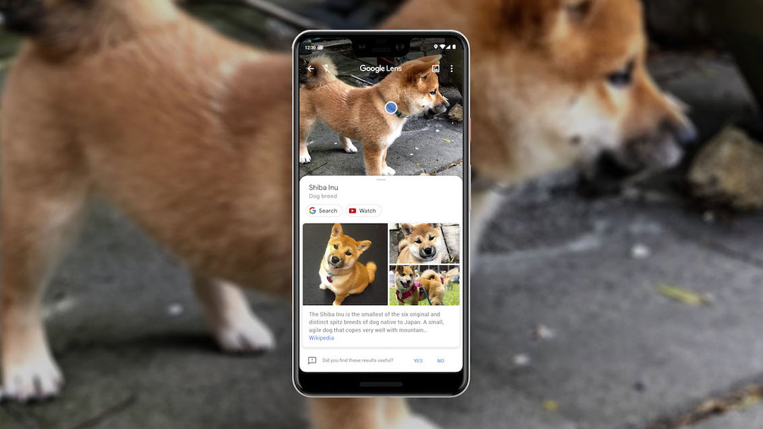 best-of-google-design-2018-itsnicethat-02.jpg