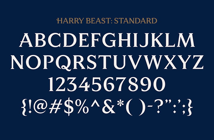 emily-oberman-wizarding-world-graphic-design-itsnicethat-07.jpg