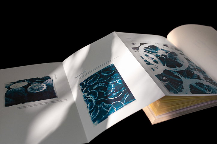 mistroom-multi-sensory-gems-work-graphicdesign-itsnicethat-06.jpg